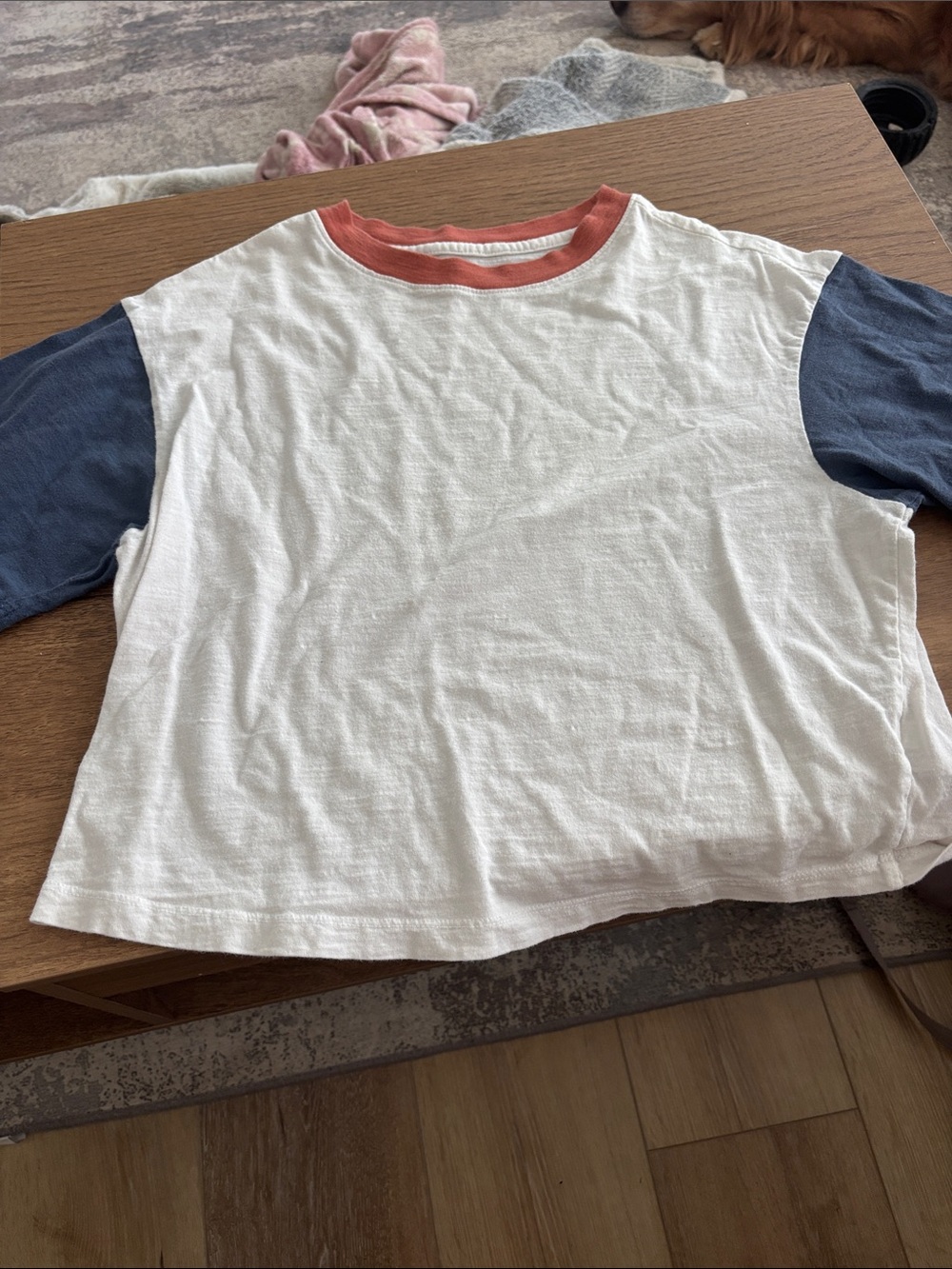 Tee - White with Blue Sleeves & Rust Neck